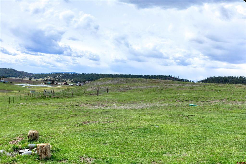 6115 Highway 84 Pagosa Springs CO 81147