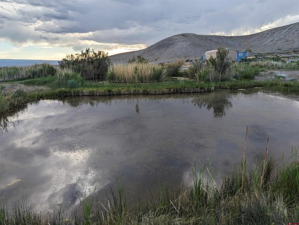 71402 50 Highway Montrose CO 81401