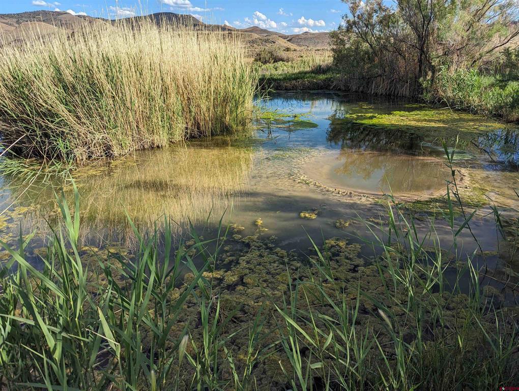 71402 50 Highway Montrose CO 81401