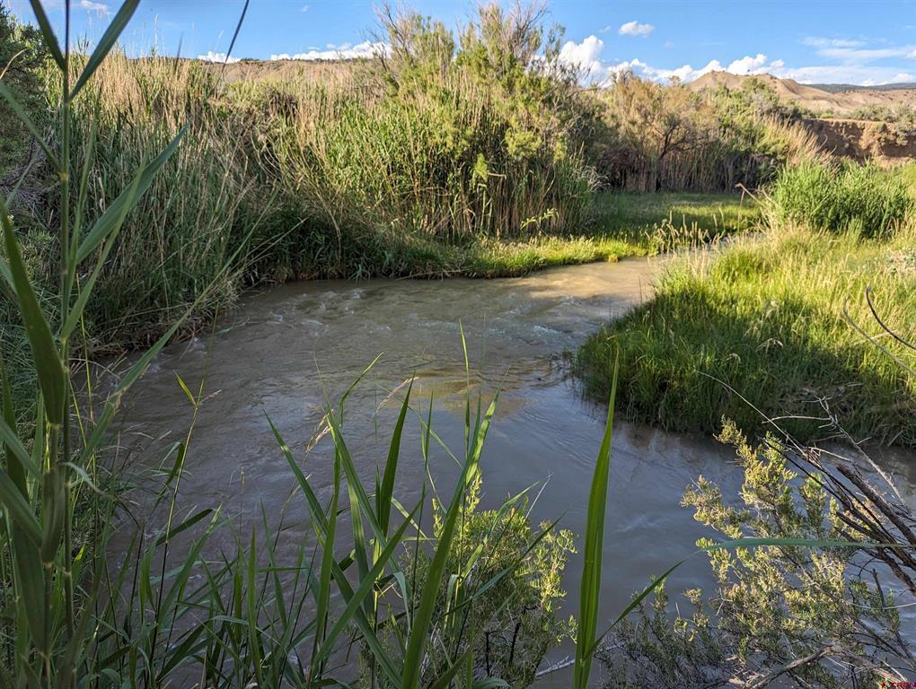 71402 50 Highway Montrose CO 81401