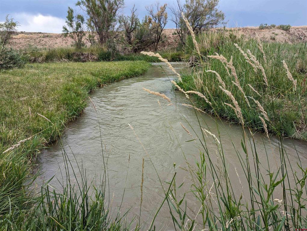 71402 50 Highway Montrose CO 81401