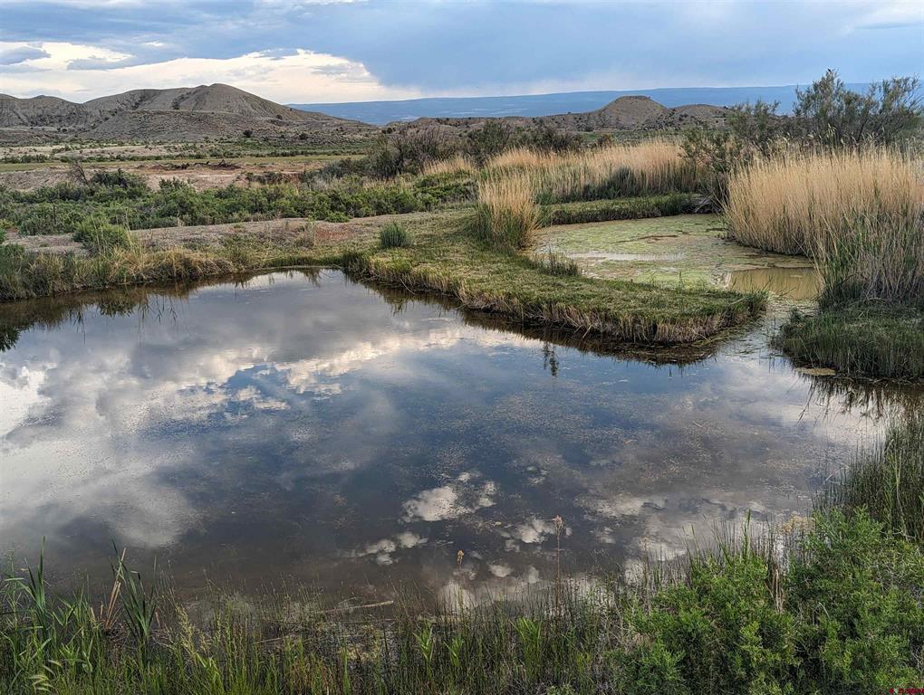 71402 50 Highway Montrose CO 81401