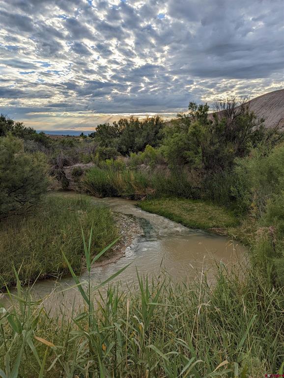 71402 50 Highway Montrose CO 81401