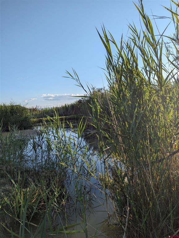 71402 50 Highway Montrose CO 81401