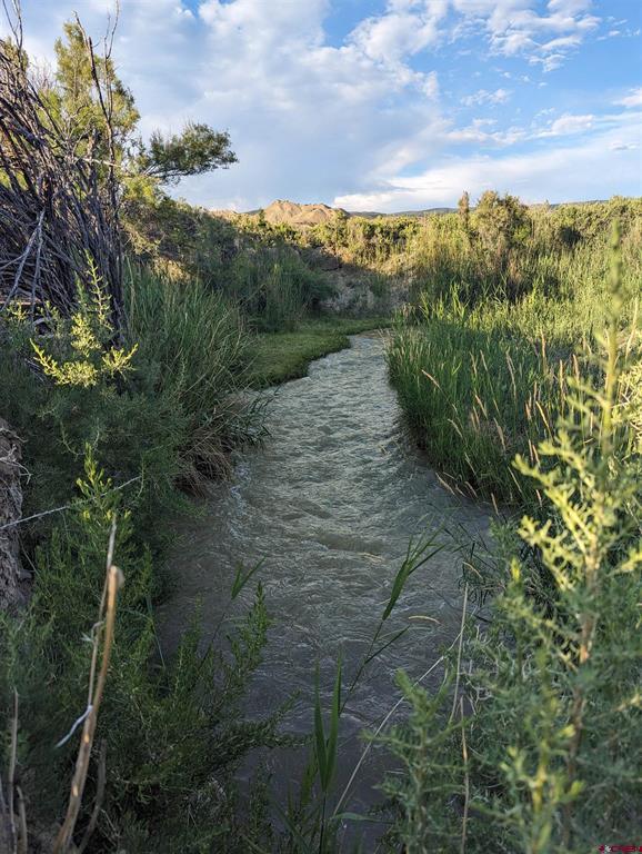 71402 50 Highway Montrose CO 81401