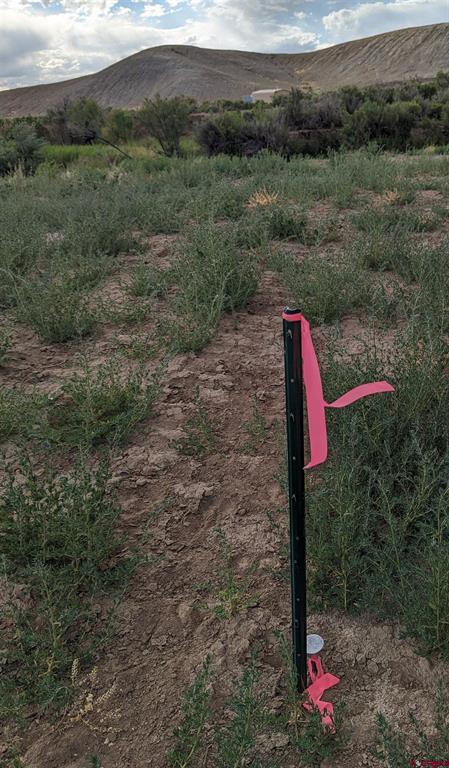 71402 50 Highway Montrose CO 81401