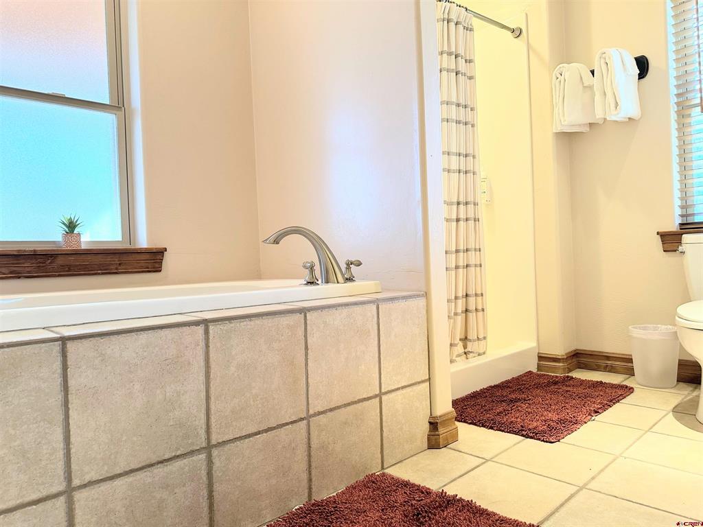 62 Masters Circle Pagosa Springs CO 81147