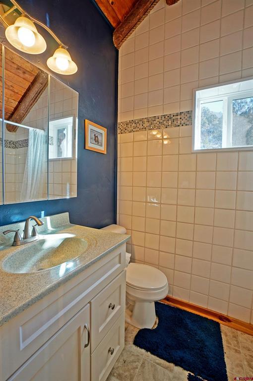 448 Whitehouse Vista Lane Ridgway CO 81432