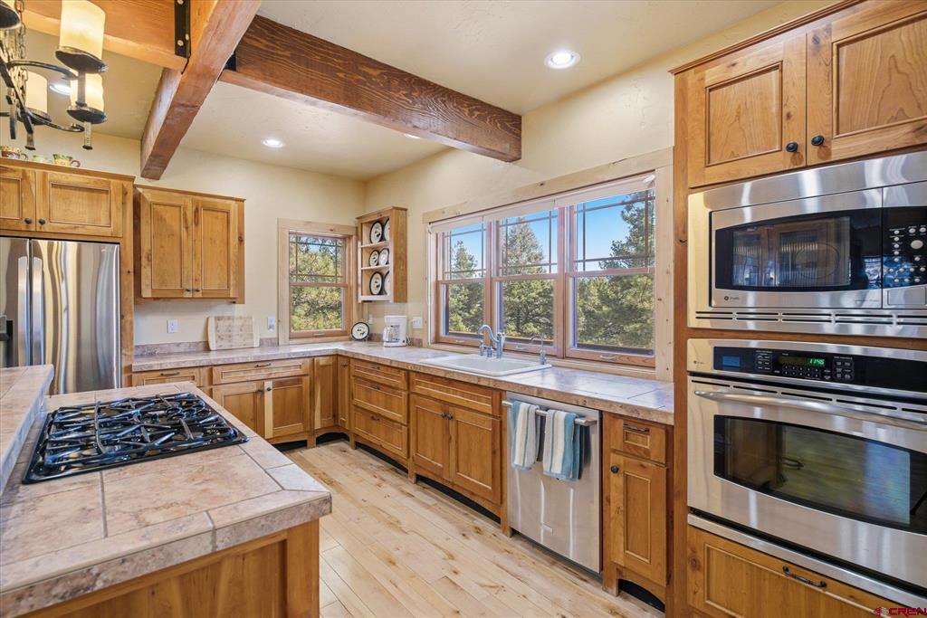 207 La Tierra Court Pagosa Springs CO 81147