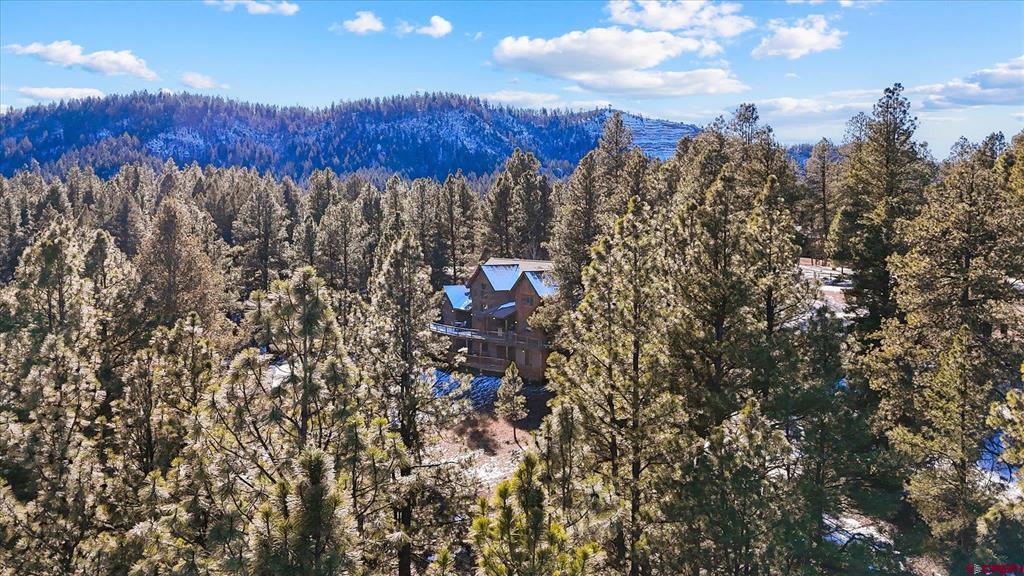 207 La Tierra Court Pagosa Springs CO 81147