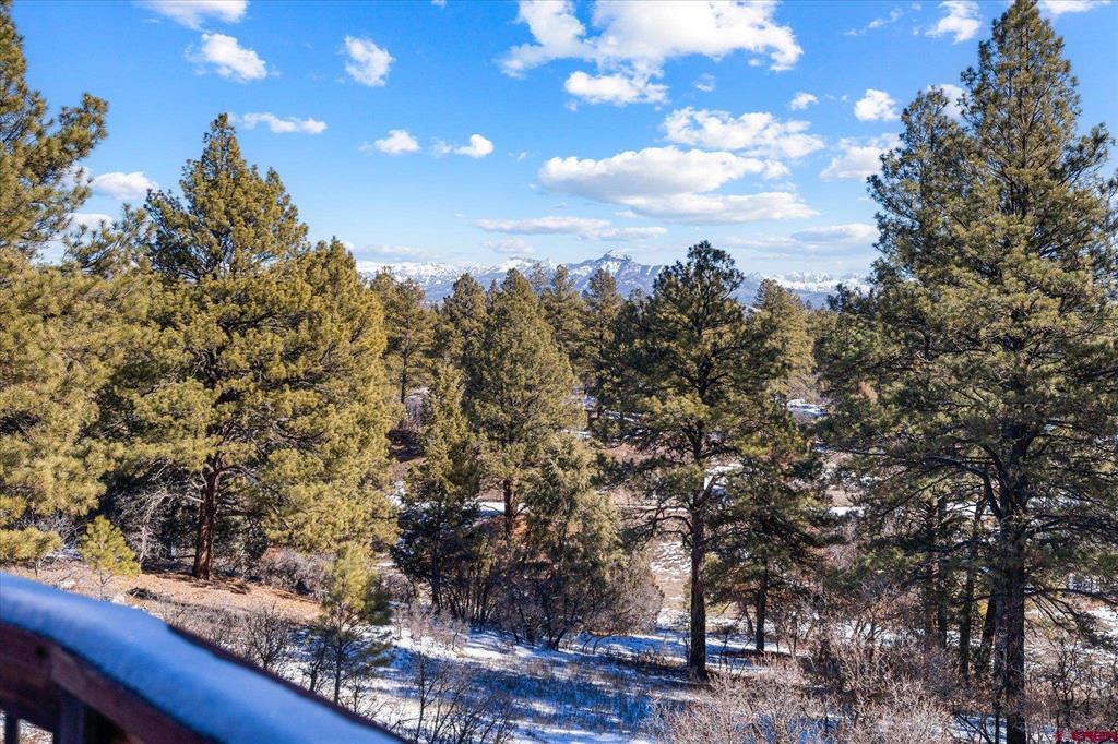 207 La Tierra Court Pagosa Springs CO 81147