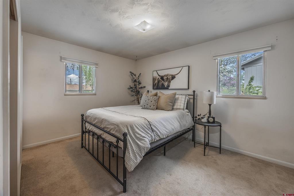 1516 Chatam Drive Montrose CO 81401