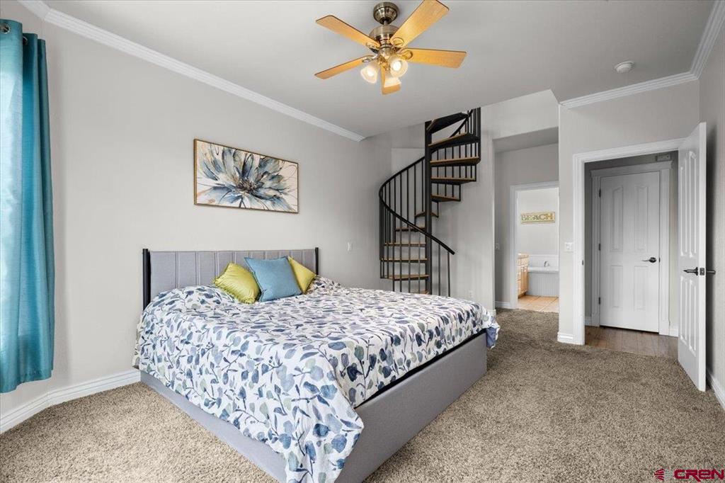 3736 Buffalo Lane Montrose CO 81401