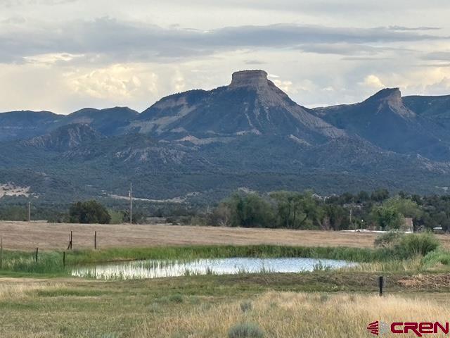 34099 Road M Mancos CO 81328