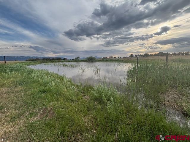 34099 Road M Mancos CO 81328