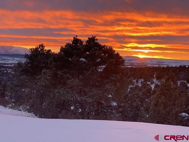 34099 Road M Mancos CO 81328