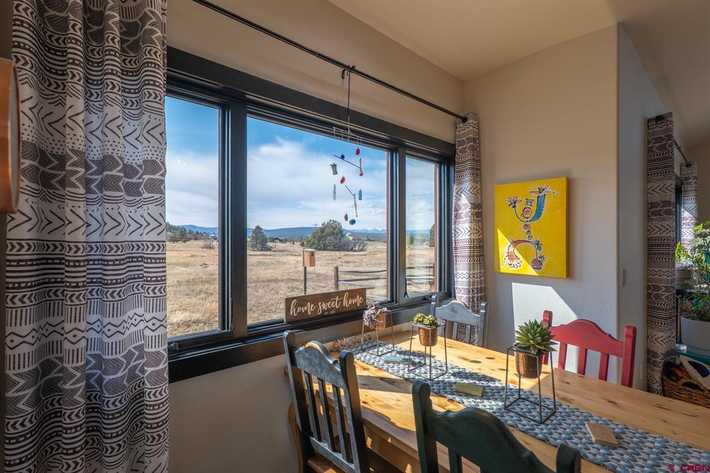 1434 Meadows Drive Pagosa Springs CO 81147