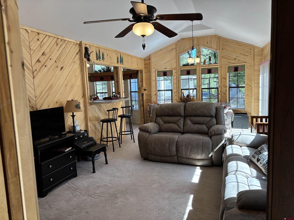 72 & 80 Okie Lane South Fork CO 81154