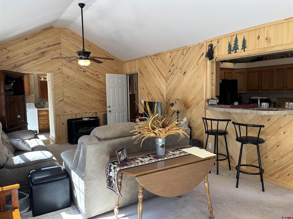72 & 80 Okie Lane South Fork CO 81154