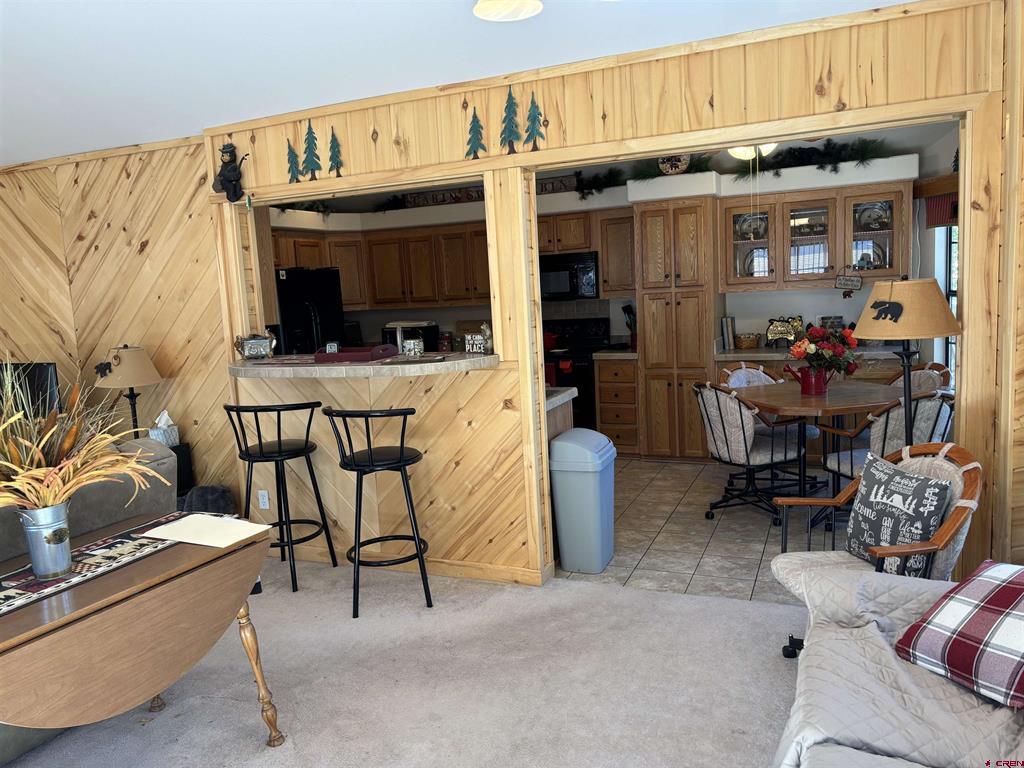 72 & 80 Okie Lane South Fork CO 81154