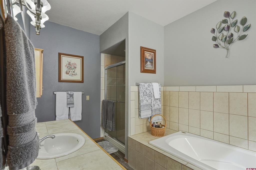 803 Twin Creek Circle Pagosa Springs CO 81147