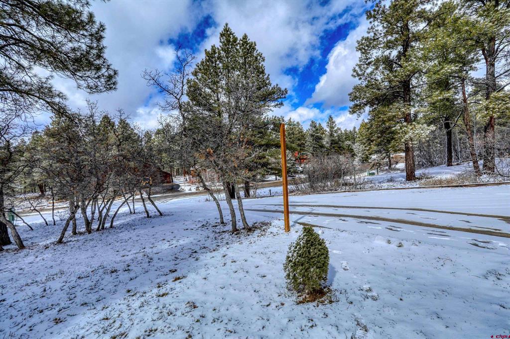 803 Twin Creek Circle Pagosa Springs CO 81147
