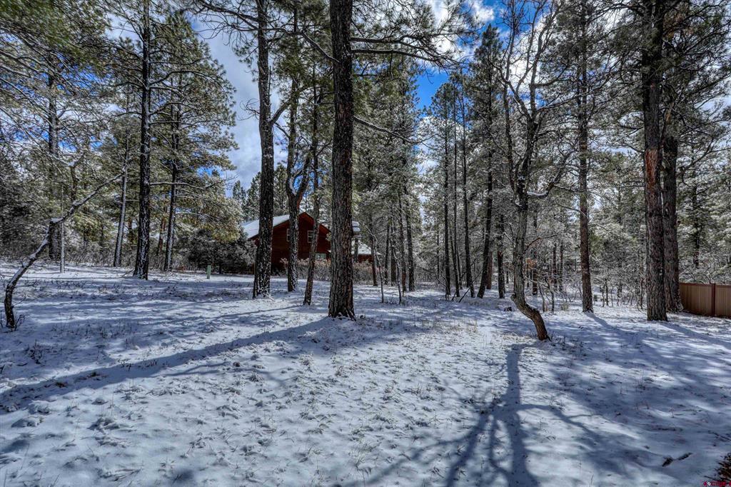 803 Twin Creek Circle Pagosa Springs CO 81147