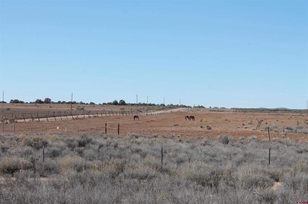 12945 Cr 310 Ignacio CO 81137
