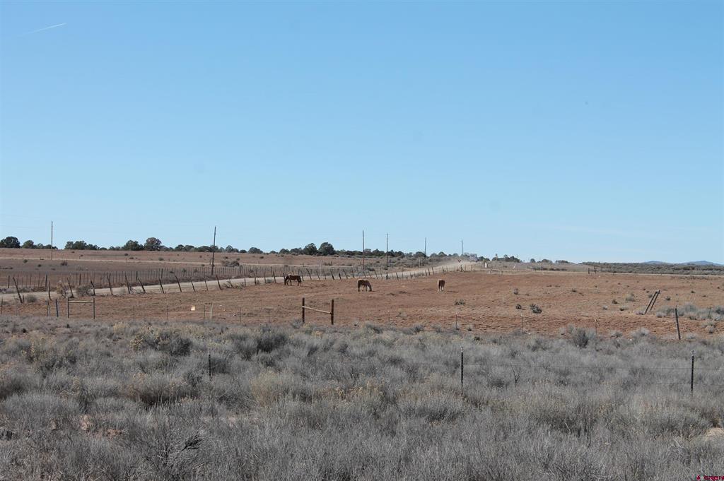 12945 Cr 310 Ignacio CO 81137