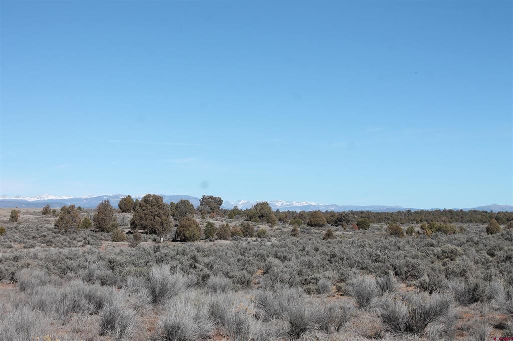 12945 Cr 310 Ignacio CO 81137