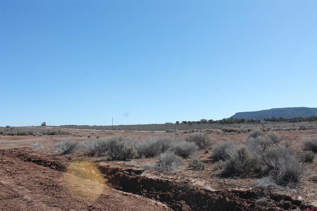 12945 Cr 310 Ignacio CO 81137