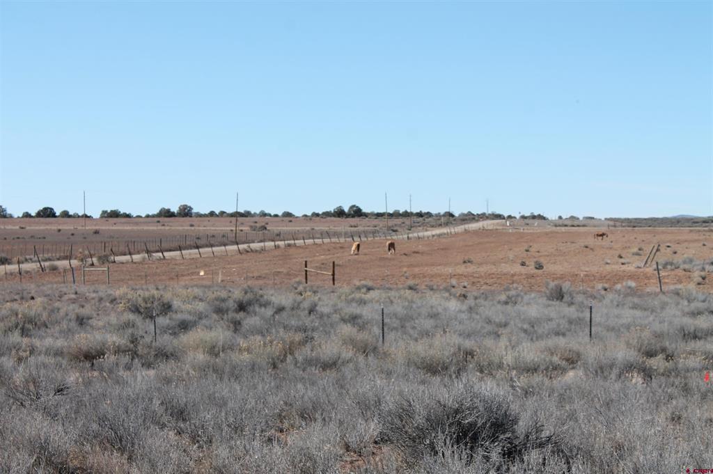 12945 Cr 310 Ignacio CO 81137
