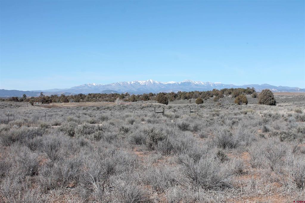 12945 Cr 310 Ignacio CO 81137
