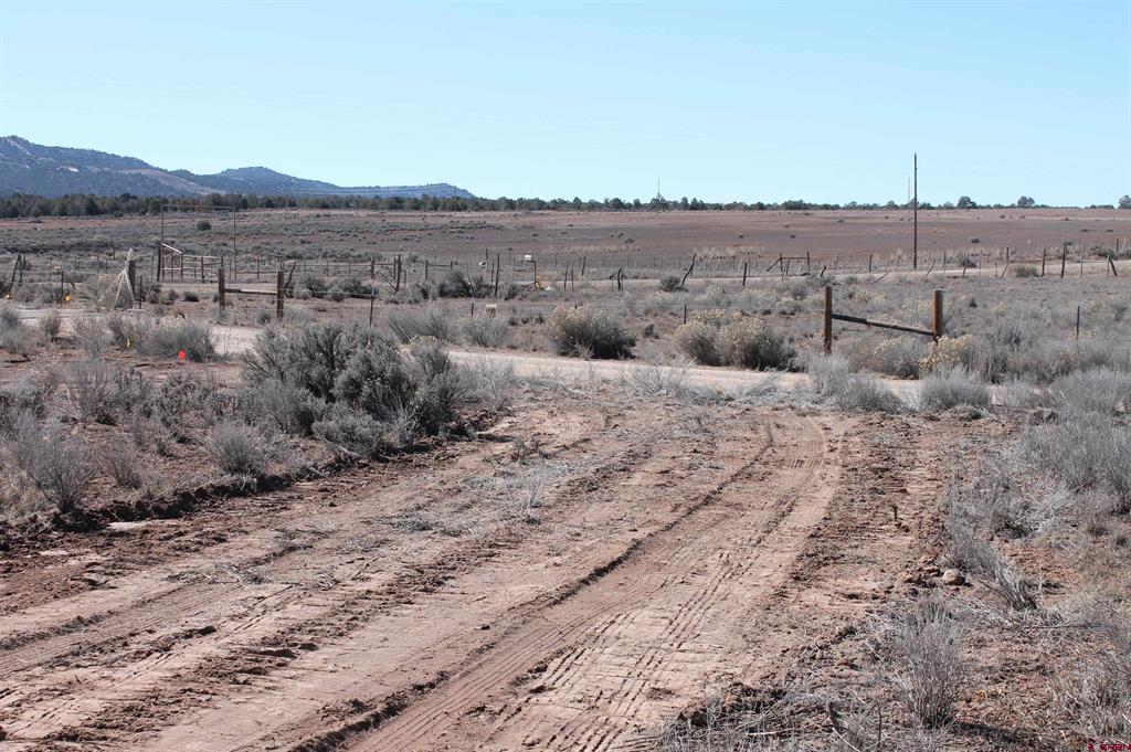 12945 Cr 310 Ignacio CO 81137