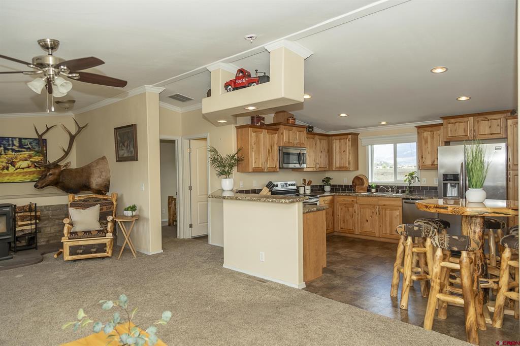 467 Apex Drive Creede CO 81130