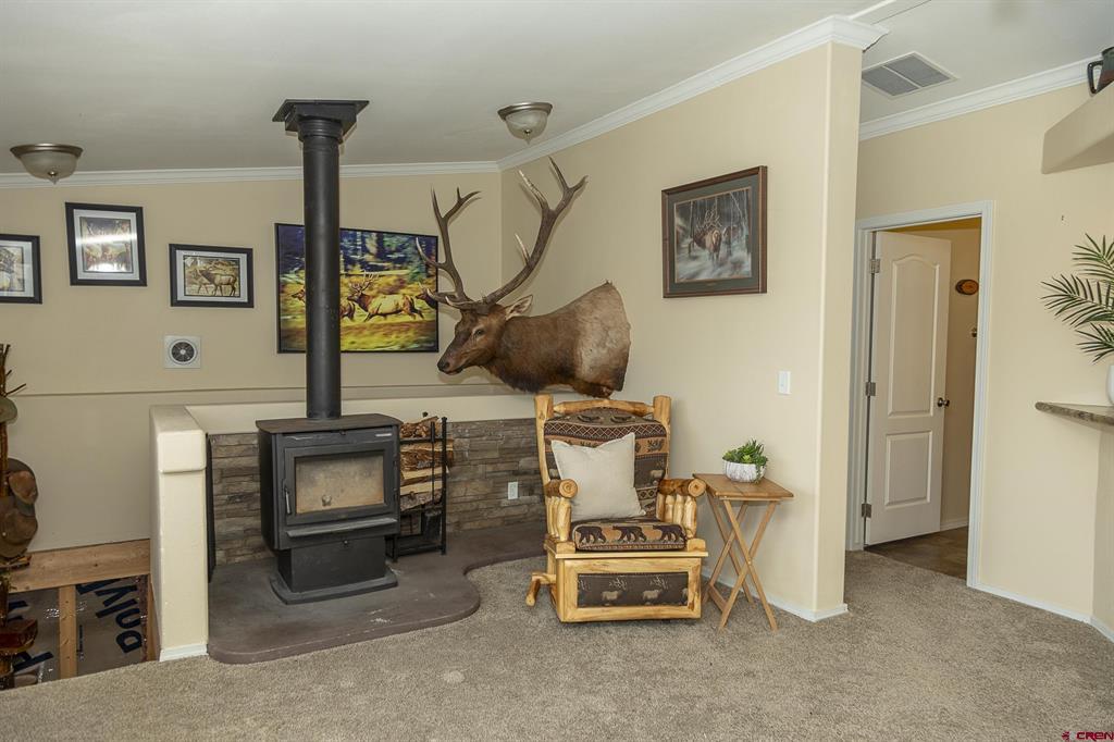 467 Apex Drive Creede CO 81130
