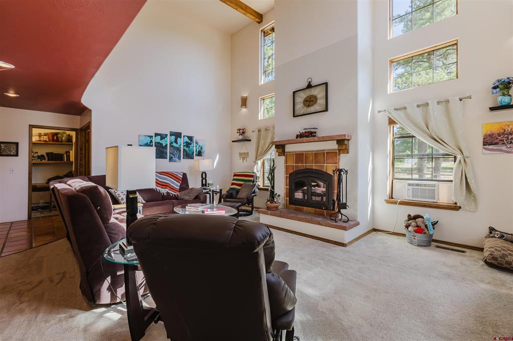 77 Fisher Pagosa Springs CO 81121