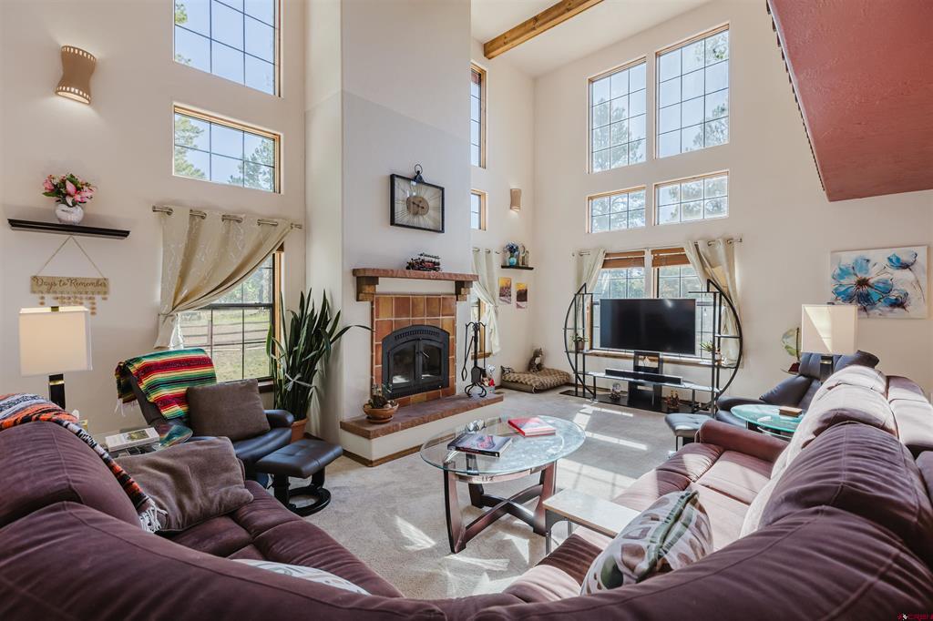 77 Fisher Pagosa Springs CO 81121
