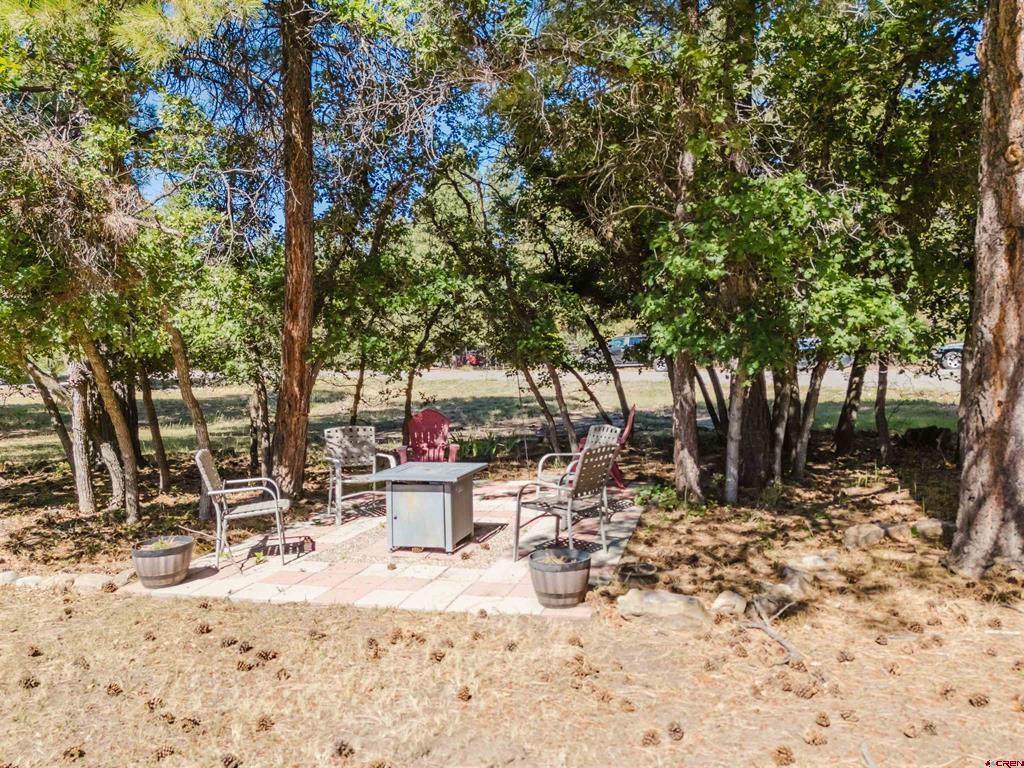 77 Fisher Pagosa Springs CO 81121