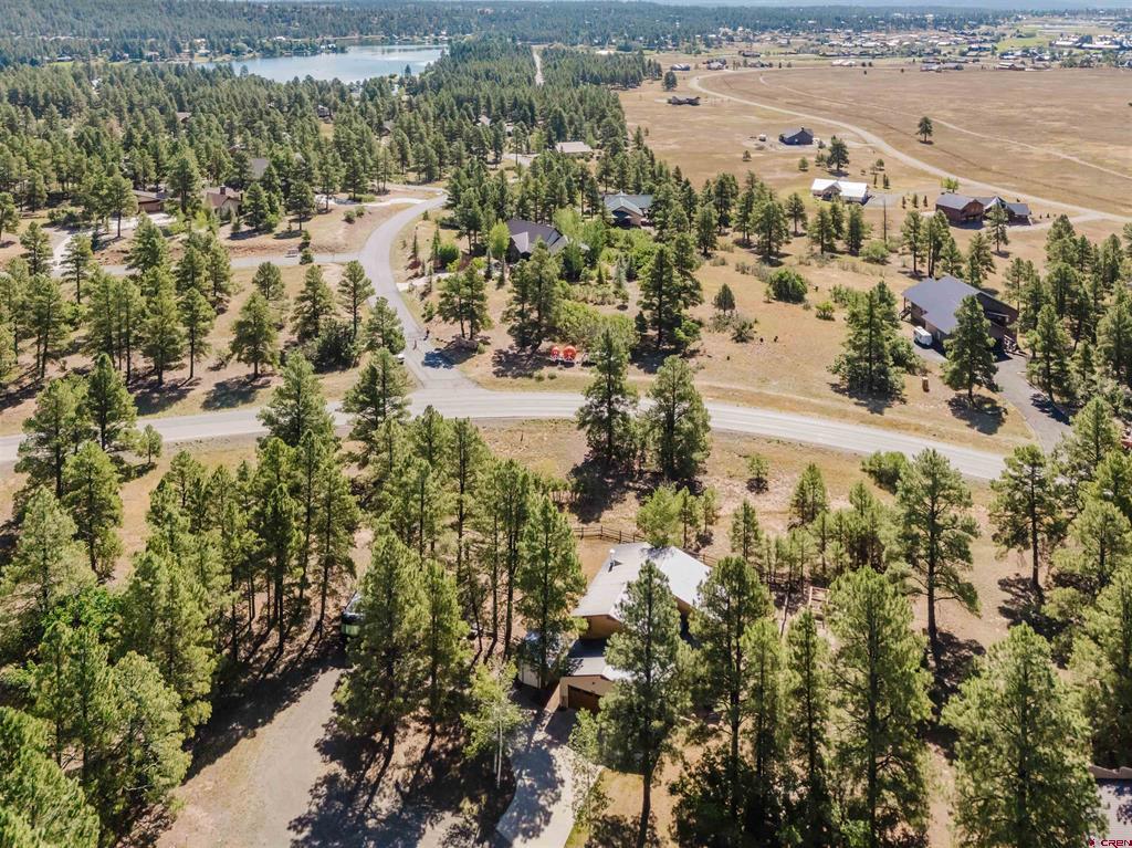 77 Fisher Pagosa Springs CO 81121