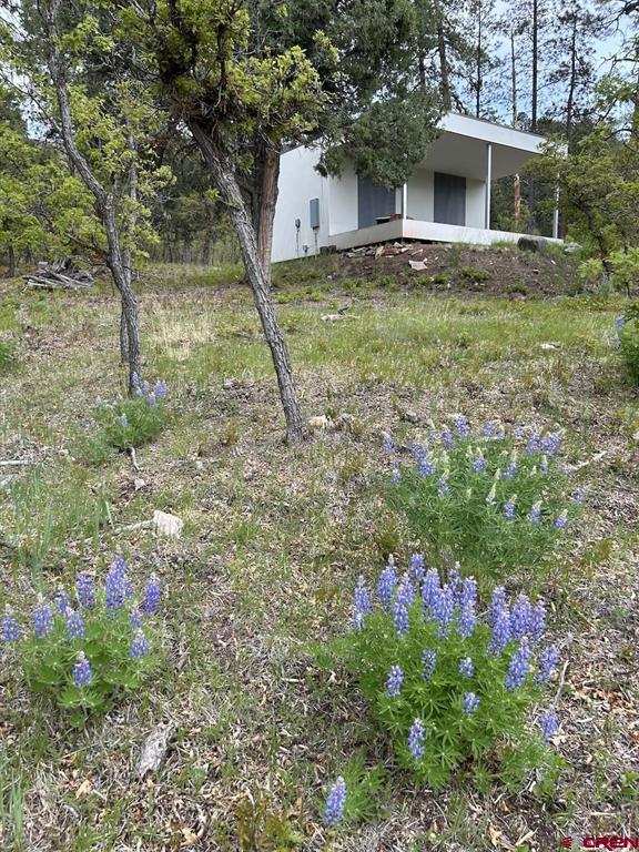 2326 Celadon Drive East Durango CO 81301