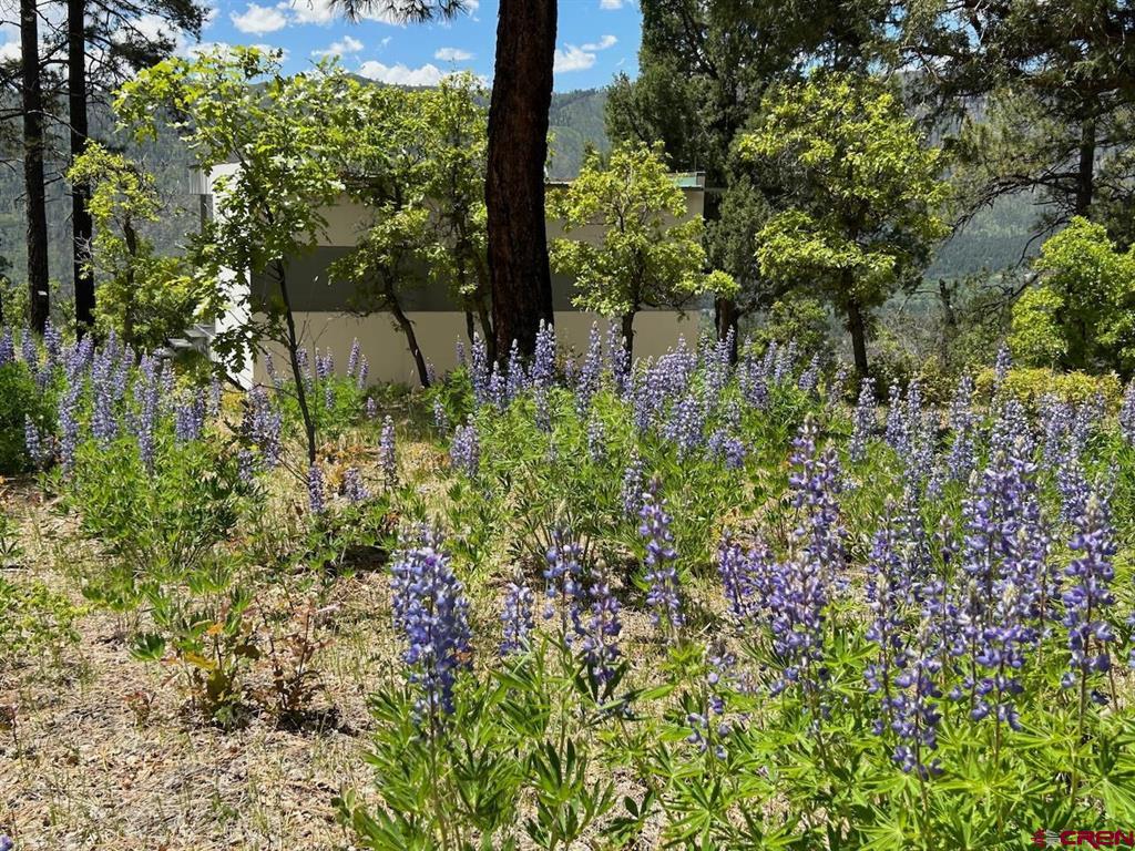 2326 Celadon Drive East Durango CO 81301