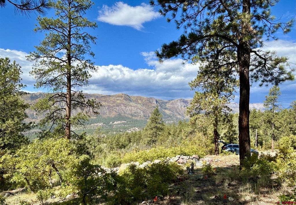 2326 Celadon Drive East Durango CO 81301