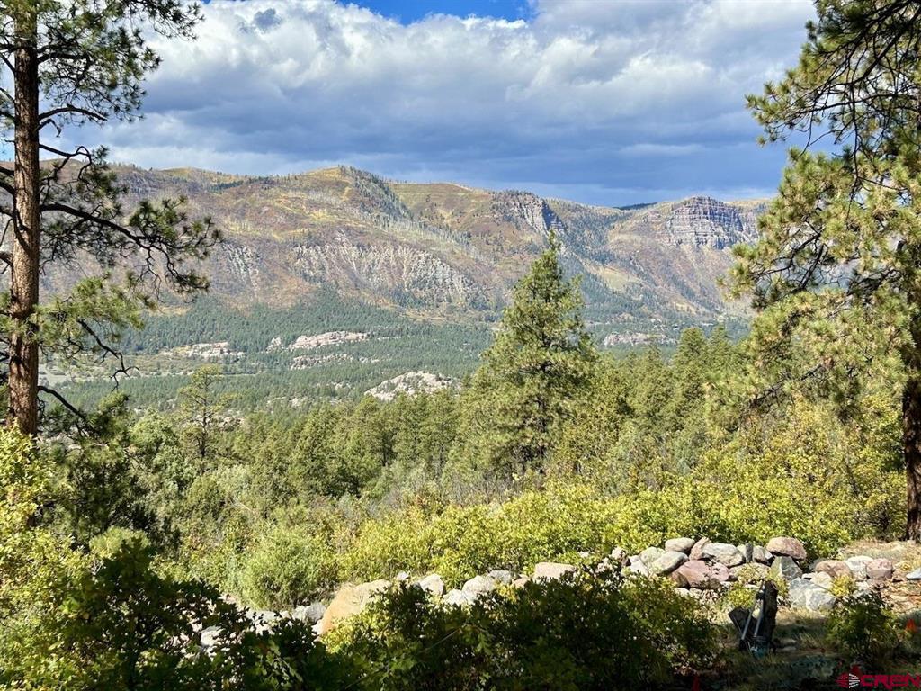 2326 Celadon Drive East Durango CO 81301