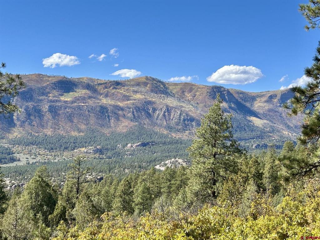 2326 Celadon Drive East Durango CO 81301