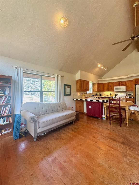 227 Hermosa Street Pagosa Springs CO 81147