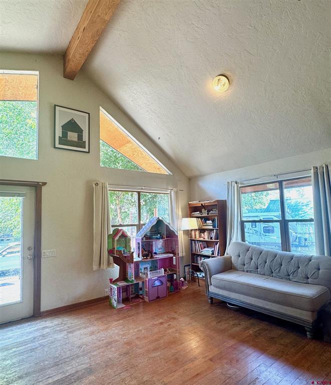 227 Hermosa Street Pagosa Springs CO 81147