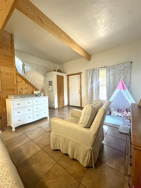 227 Hermosa Street Pagosa Springs CO 81147