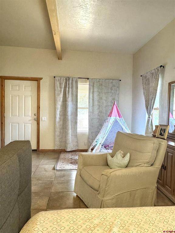 227 Hermosa Street Pagosa Springs CO 81147