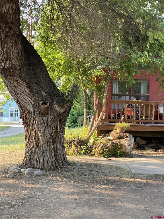 227 Hermosa Street Pagosa Springs CO 81147